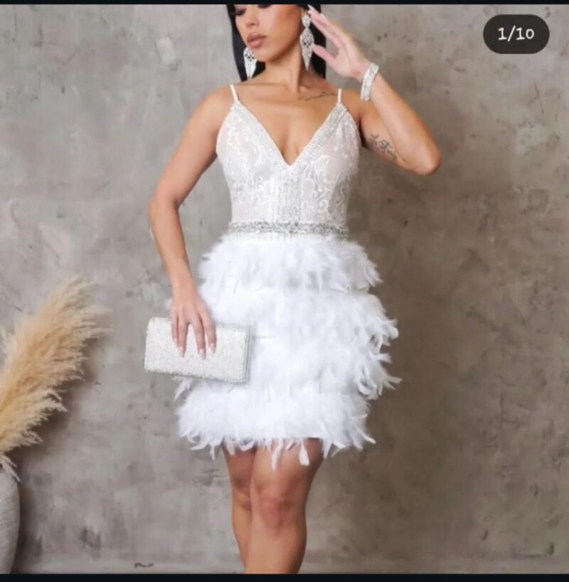 Short Feather Dress